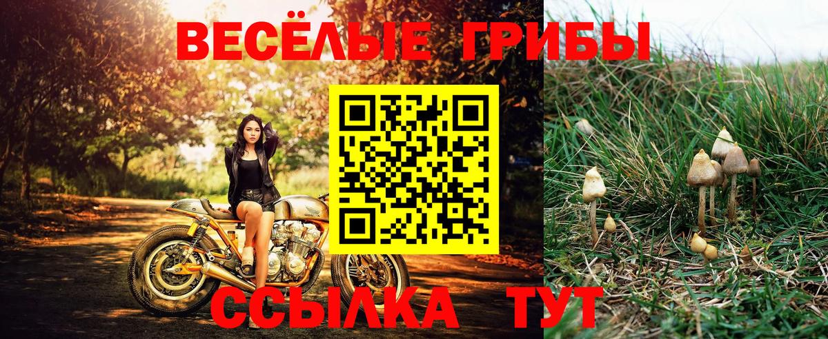 Галлюциногенные грибы прущие грибы  закладки  Вход с VPN  Джанкой  Галлюциногенные грибы мицелий 